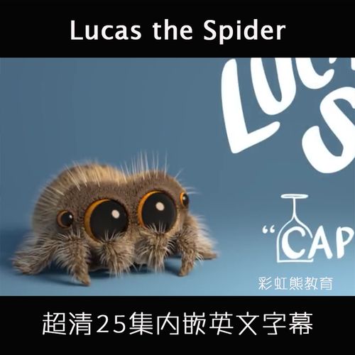 小蜘蛛卢卡斯lucas the spider英文启蒙动画片幼儿童学习视频
