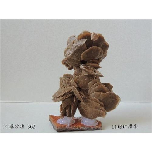 【戈壁石花】阿拉善奇石天然原石精品观赏石沙漠玫瑰摆件