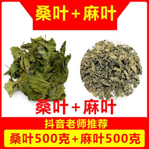 桑叶和麻叶 中药材组合 干麻叶加桑叶新鲜非生发煮水