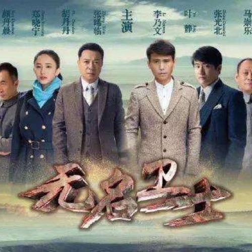 32g超高清720p电视剧【无名卫士】张晞临42集全字幕u盘tf内存卡