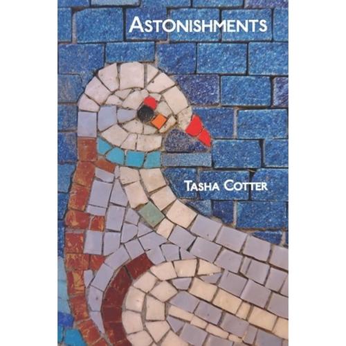 预订 astonishments