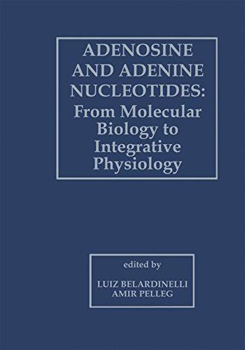 【预订】adenosine and adenine nucleotides: from