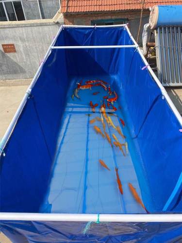 池防水布长方形帆l布鱼池加厚耐磨大型水蛭养鱼养殖帆布池水池