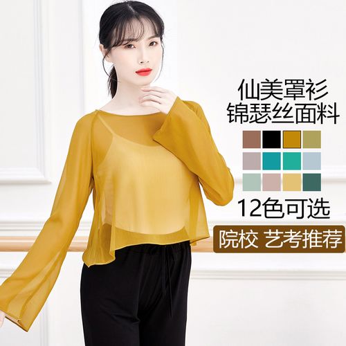 古典舞身韵纱衣演出服女飘逸舞蹈练功服上衣网纱短款现代舞服装女