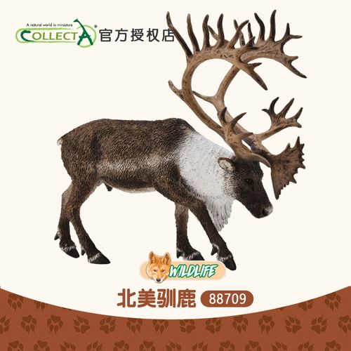 正品英国collecta我你他 北美驯鹿 圣诞仿真动物玩具摆件88709