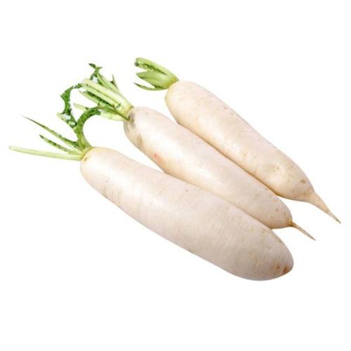 春白玉103萝卜种子 农家蔬菜种子春季水果白萝卜种子家庭田园种植
