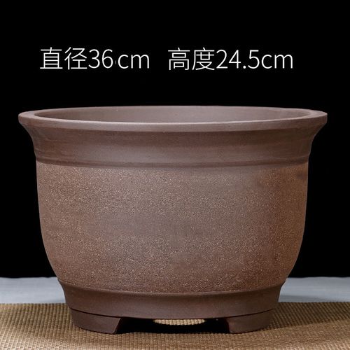 盆兰花盆君子兰花盆花卉盆栽陶瓷花盆 超大款三角金钟拉毛单个价格 大