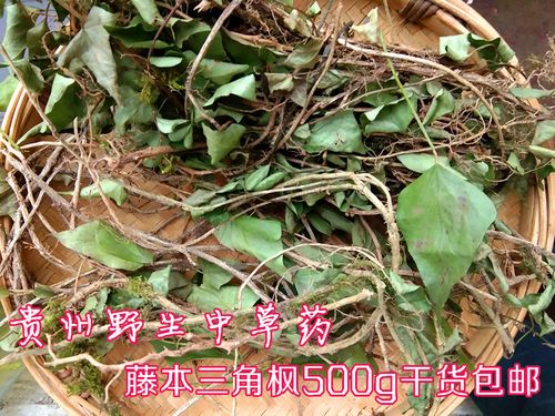 野生中草药三角枫 中药材贵州三各风 藤本植物山角风干货500g包邮
