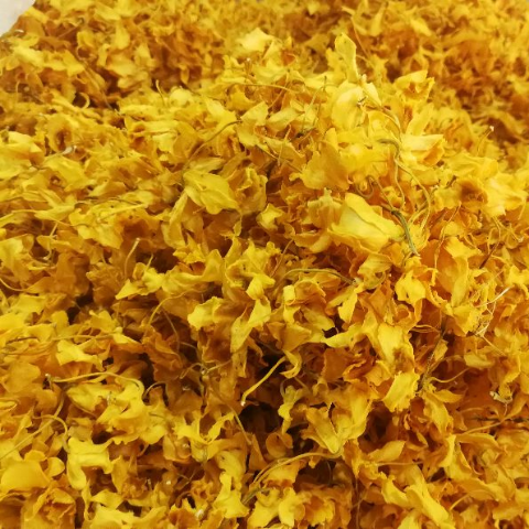 霍山石斛花干花茶正品铁皮石斛花枫斗花新花鼓槌金钗石斛花100克