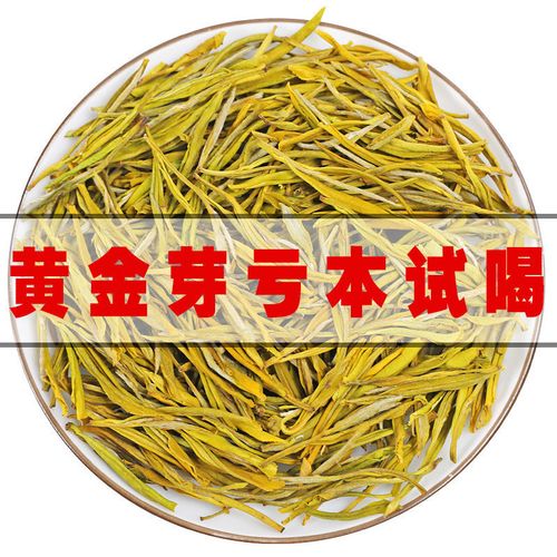 浙江白茶正宗黄金芽2021新茶珍稀高山云雾浓香绿茶高级茶叶送礼茶