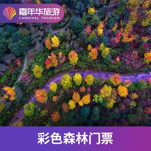 [彩色森林养生旅游区-大门票]重庆 重庆 彩色森林 重庆旅游