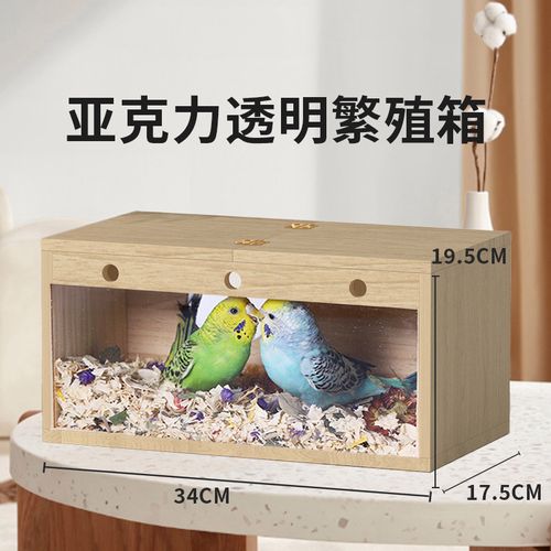 透明鹦鹉繁殖孵化箱玄凤虎皮牡丹鸟类专用鸟窝内挂保暖孵蛋鸟巢
