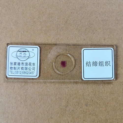 浪.器材人体教具四大组织切片上皮肌肉结缔花神经中考用 牌