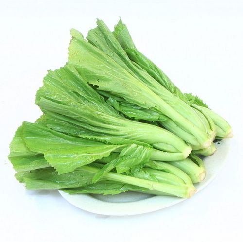 小芥菜新鲜农家自种蔬菜500g新鲜蔬菜食用