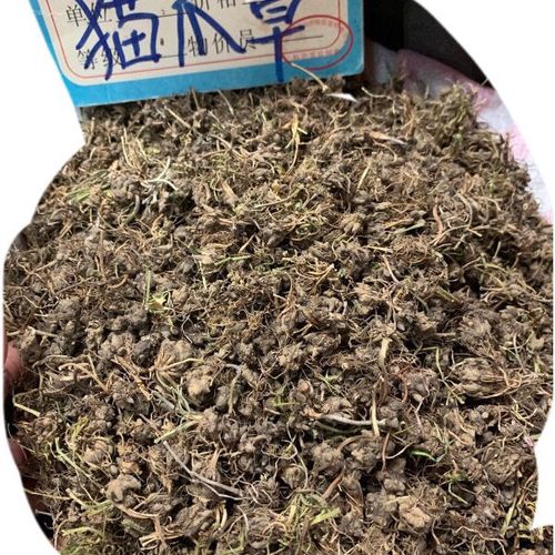 河南中药材野生猫爪草小毛茛水洗猫抓草50克100克250克500克