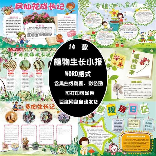 卡通植物生长手抄报word模板小学生小报素材黄豆芽观察日记电子版