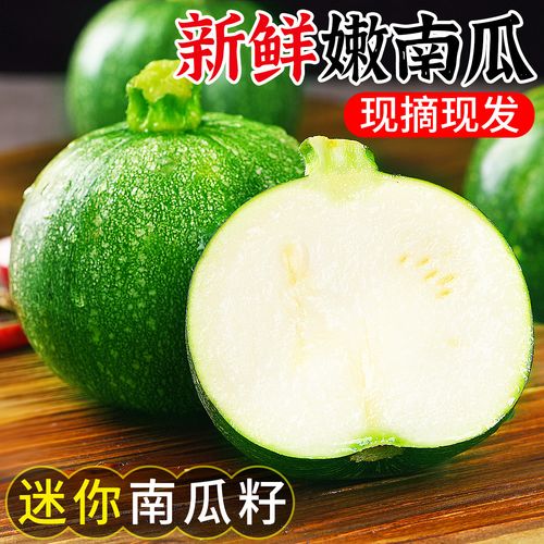 新鲜嫩南瓜5斤当季农家迷你青南瓜现摘应季蔬菜整箱包邮3小番瓜