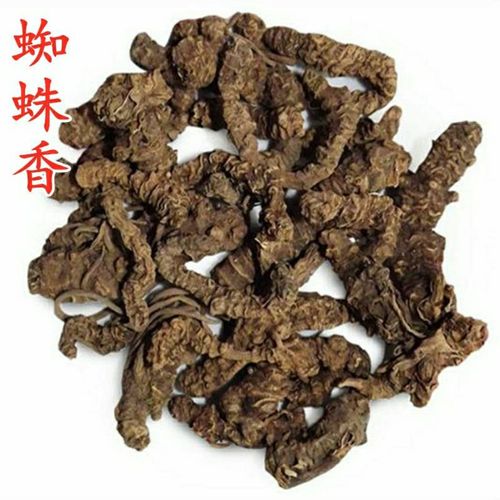 中药材野生缬草根穿心排草蜘蛛香九转香雷公七马蹄香连香草包邮