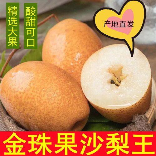 金珠果沙梨王野生梨水果新鲜小黄梨应季梨蜜梨香脆甜酥梨5斤包邮