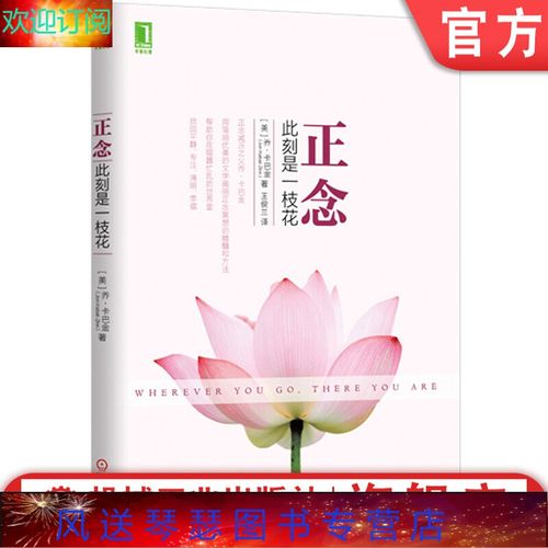 卡巴金 心理学 正念之道 阐明正念冥想精髓 方法 人生哲学通俗读物 正