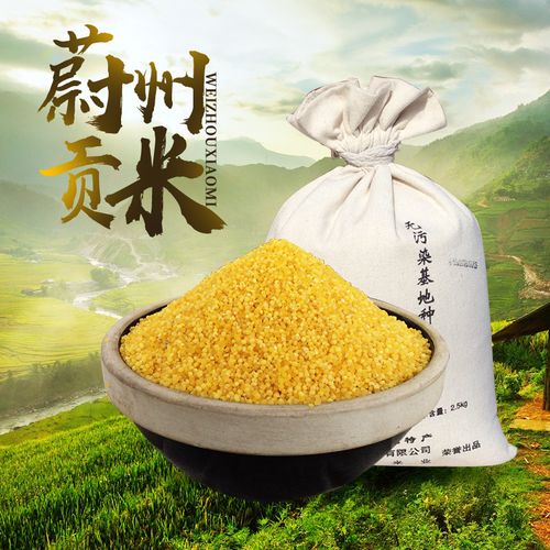 黄小米蔚县小黄米月子米香糯粘稠米脂油新米蔚州贡米5斤杂粮农家