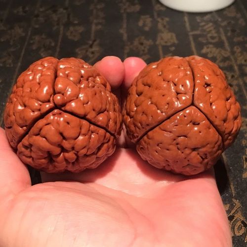 印尼三瓣脑纹大金刚圆形高密度包浆快红皮40毫米—52毫米左右