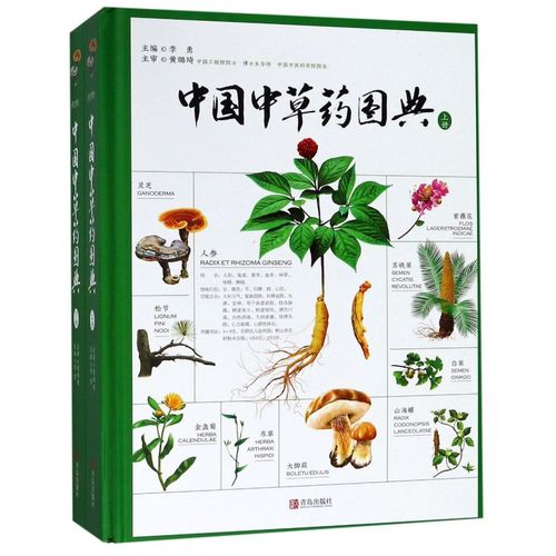 【新华书店正版】中国中草药图典(上下)(精)