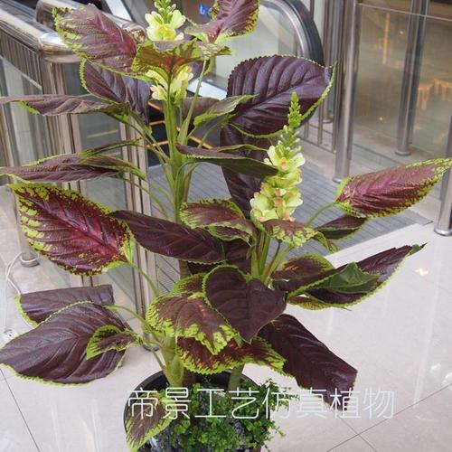 包邮仿真植物假树过胶高仿紫葵树 客厅礼品装饰欧式花艺家居落地【4月