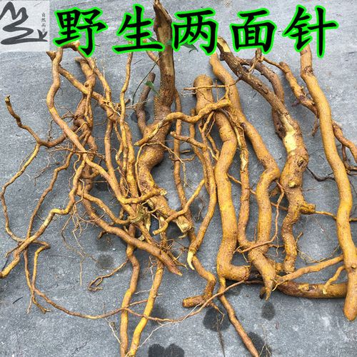 野生两面针 别名 入地金牛红心刺刁根 双面刺 山椒 下山虎 中药材