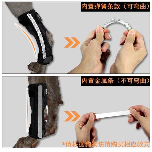 狗骨折前腿后腿趴蹄固定夹板护腿宠物护膝钢板支撑保护猫金毛泰j