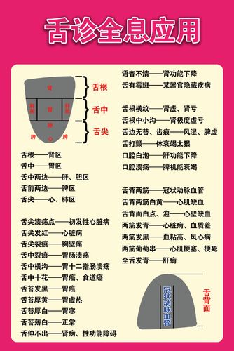 767中医舌诊全息应用舌头对应症状1579海报印制展板写真喷绘挂图