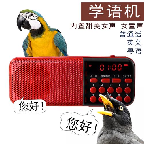 包邮八哥鹩哥鹦鹉鸟用学语机学说话机复读机学舌器教