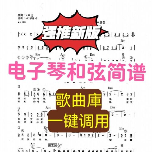 电子琴和弦简谱注册记忆歌曲庫音色节奏包一键调用中文扩展包pad