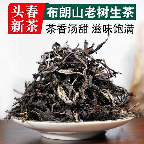 云南勐海布朗山普洱茶生茶散茶500g散装特生普洱茶级老树早春茶叶