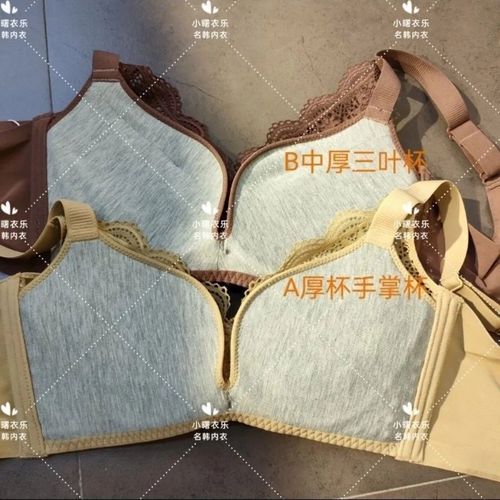名韩内衣a杯厚b杯中厚四排扣无钢圈调整侧文胸女