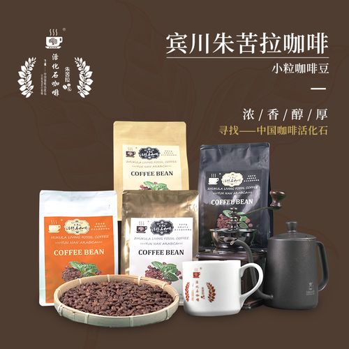 云南小粒咖啡宾川朱苦拉咖啡豆227克浅度烘培活化石轻度中深