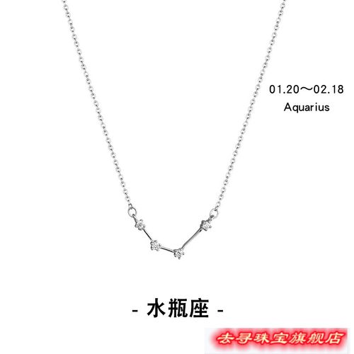 去寻十二星座专属项链女简约气质学生闺蜜ins潮人网红小众锁骨链 水瓶