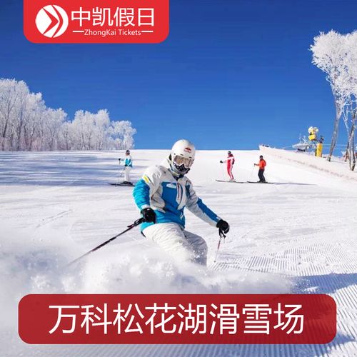[松花湖滑雪场-全天滑雪票]吉林万科松花湖滑雪场全天自带板