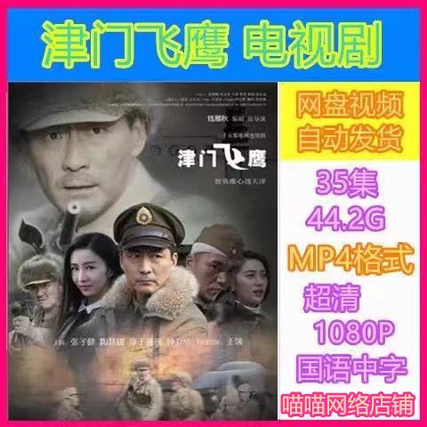 津门飞鹰电视剧 35全集 超清画质素材 mp4格式 虚拟产品拍下秒发