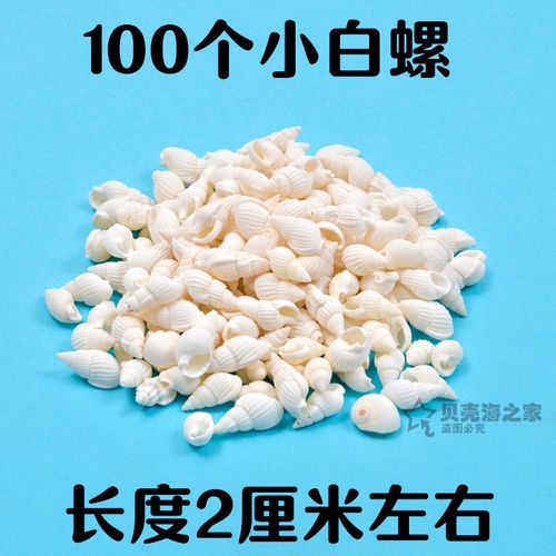 天然海螺贝壳100个小白螺地台布置装饰品漂流瓶微景观diy盆栽材料