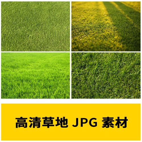 草地草坪绿地植被纹理ps贴图抠图平面设计底图背景jpg高清素材图