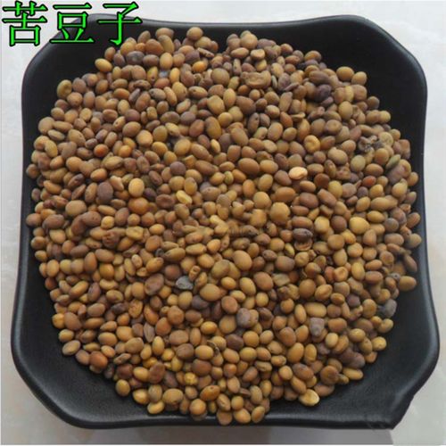 中药材  苦豆子  别名:苦马豆  马皮泡  羊尿泡  500克