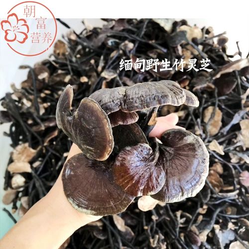 竹灵芝整芝20年新货芝切片打粉煲汤泡酒煮水100g