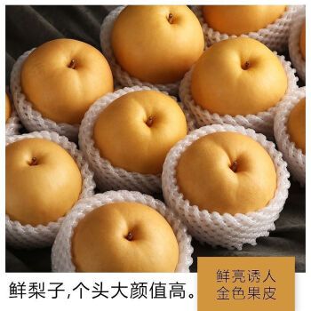 【京鲜配】秋月梨级新鲜水果皮薄脆甜冰糖梨秋香羊脂梨 10斤大果精选