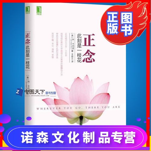 [诺森正版]正版正念 正念:此刻是一枝花 心灵修养 心理励志 人生哲学