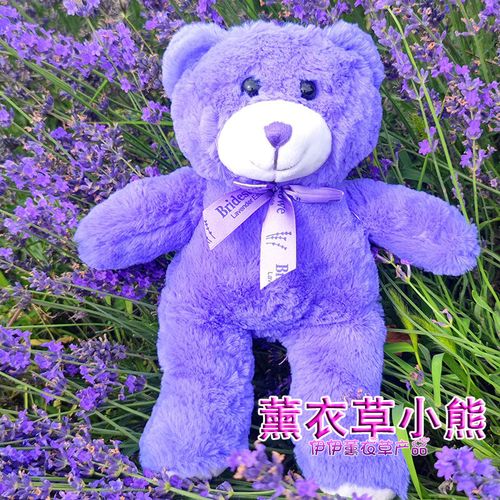 伊犁薰衣草小熊玩偶礼物紫色泰迪熊毛绒公仔玩具女生儿童生日安神