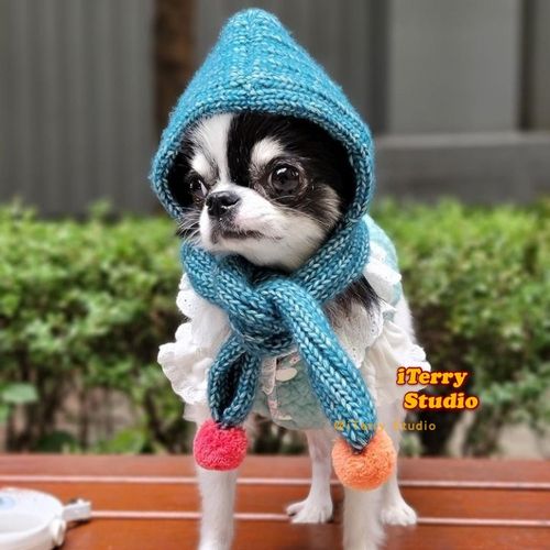 [预定]韩国fetedecoco秋冬手工编织宠物毛线帽狗狗保暖可爱针织帽