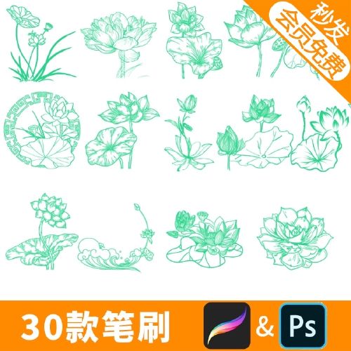 ps笔刷procreate画笔莲花荷叶轮廓线摆件线稿睡莲ipad绘画素材b93