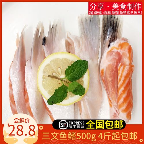 冰鲜三文鱼鳍500g 新鲜三文鱼边角料鱼鳍 烧烤 红烧 清蒸餐饮食材