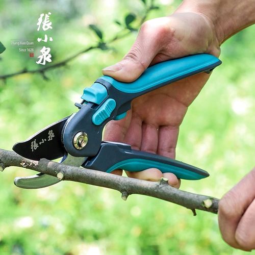 张小泉剪枝果树修枝剪刀园艺修园林省力修花枝剪家用强力剪子神器